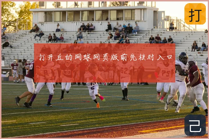 打开丘的网球网页版前先核对入口